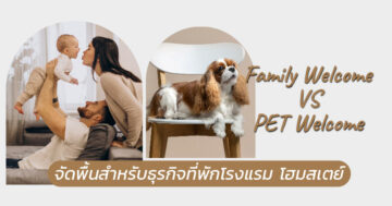pet friendly furniture